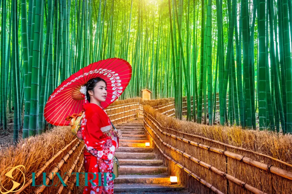 جنگل بامبو آراشیاما کیوتو ژاپن